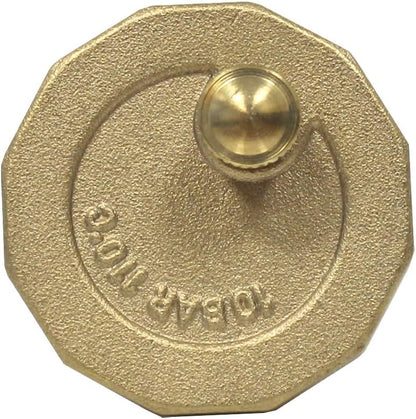 Purgeur Automatique d'Air 1/2